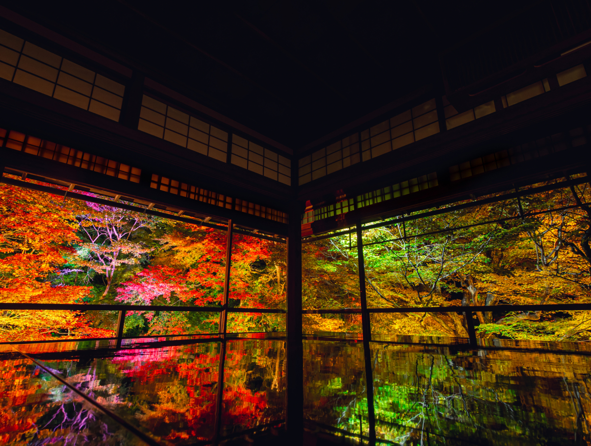 部屋の画舫部屋の画像
